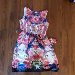 Floral WITH POCKETS  knee length dress